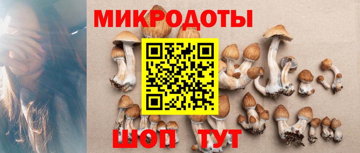 Псилоцибиновые грибы мицелий Великий Новгород